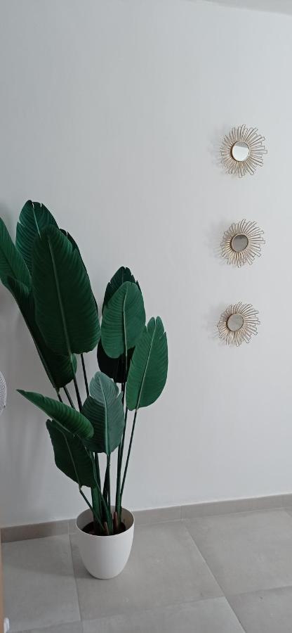 Apartamento Casco Historico Con Atico. Apartment เซบีญา ภายนอก รูปภาพ